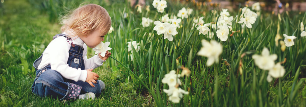 Allergens in playgrounds 